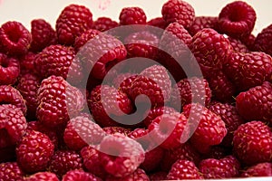 Raspberry berries close-up, red background, natural berry food