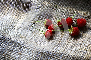 Raspberry berries on sacking material