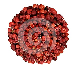 Raspberry berry - circle