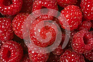 Raspberry berry isolated on white background photo