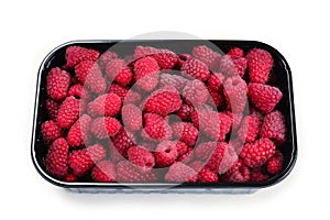 Raspberry in black container isolated on white background