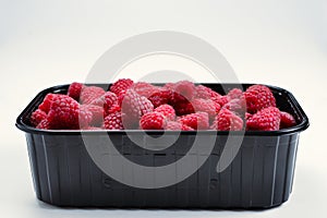 Raspberry in black container isolated on white background