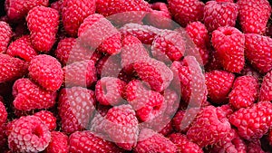 Raspberry in black container isolated on white background