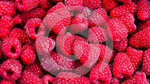 Raspberry in black container isolated on white background