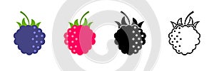 Raspberry blackberry icon. Natural fruit raspberry and blackberry icons. Stock vector