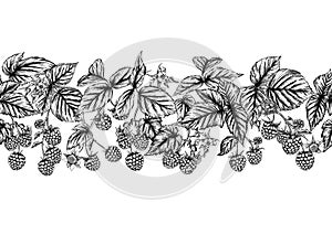 Raspberry or blackberry. Ripe berries on branch. Seamless pattern, background