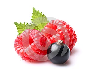 Raspberry with blackcurrant