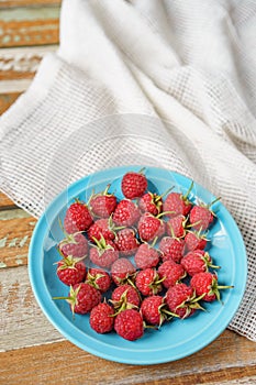 Raspberry in blue dish and in front of white fabric on old vi