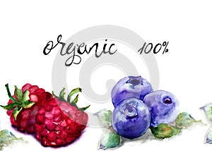 Raspberry and Blueberries with title organic 100 percent