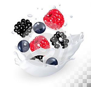 Raspberry and blueberry and blackberry in a milk splash