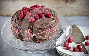 Raspberry and chocolate molten ganache cake