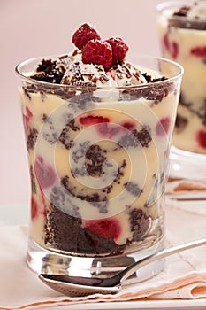 Raspberry Chocolate Trifle photo