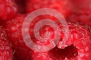 Raspberry close up