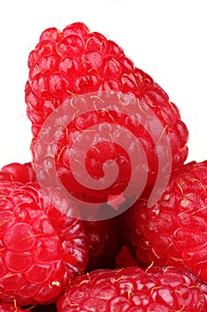 Raspberry close up