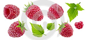 Raspberry collection isolated on white background