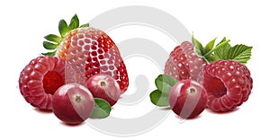 Raspberry cranberry strawberry isolated on white