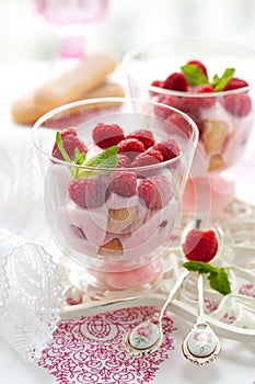 Raspberry dessert