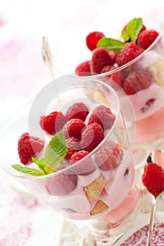 Raspberry dessert