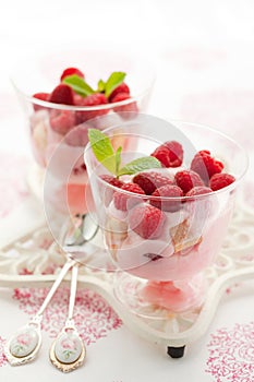 Raspberry dessert