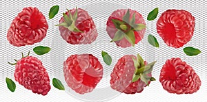 Raspberry falling from different angles. Flying raspberry with green leaf on transparent background. 3D realistic