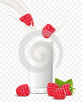 Raspberry falling in a glass of milk or yogurt. Sweet milk splashes. Fruit milkshake advertising banner, yogurt jet, flying drops