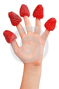 Raspberry on fingers of a little girl