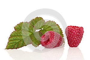 Raspberry Fruit