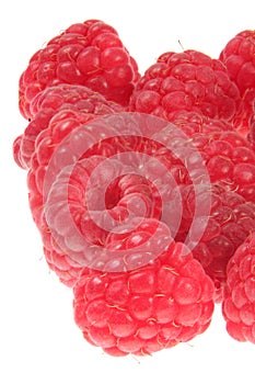 Raspberry fruit