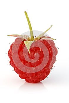 Raspberry fruit