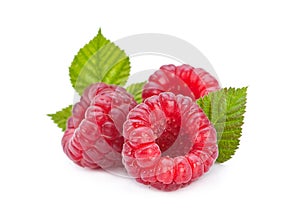 Raspberry fruit
