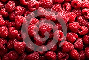 Raspberry fruit background