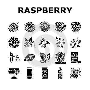 raspberry fruit berry red food icons set vector