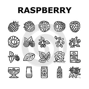 raspberry fruit berry red food icons set vector