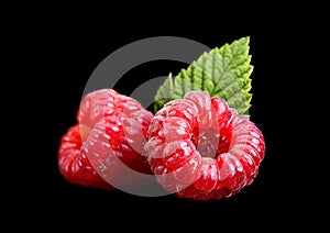 Raspberry fruit on black