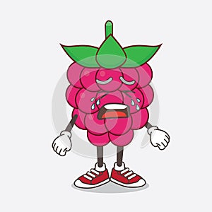Raspberry Fruit cartoon mascot character with crying expression