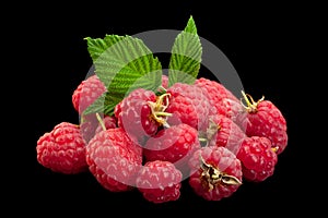 Raspberry fruit closeup on black
