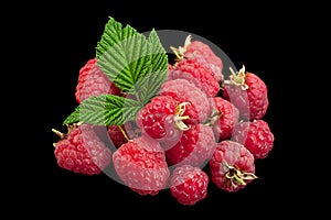 Raspberry fruit closeup on black