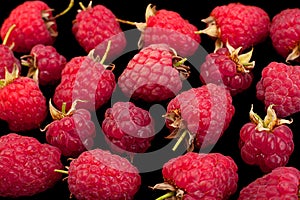 Raspberry fruit closeup on black