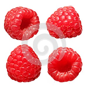 Raspberry Fruit Collections, isolated