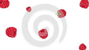 Raspberry fruit falling in looping