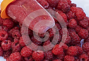 Raspberry fruit ice cream and fresh raspberries