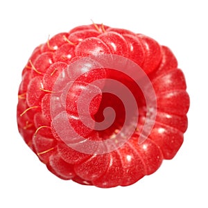 Raspberry Fruit, isolated on white background
