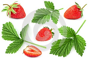 Raspberry fruit and leaf set closeup on white
