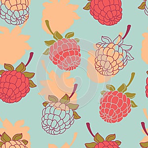 Raspberry fruits seamless pattern