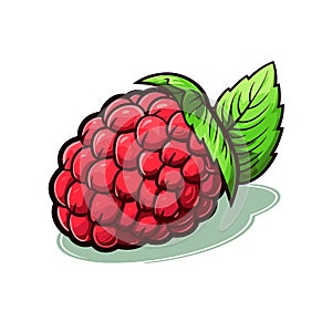 Raspberry. Raspberry hand-drawn comic illustration. Vector doodle style cartoon illustration