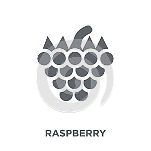 Raspberry icon from Fruit and vegetables collection.