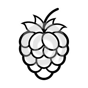 Raspberry icon. Minimalist line drawing of a ripe raspberry.
