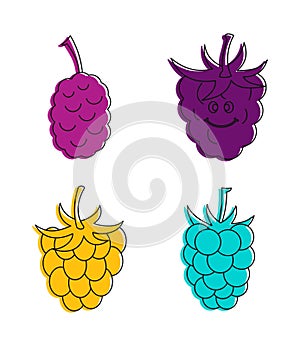 Raspberry icon set, color outline style