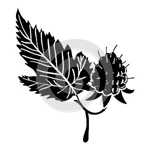 Raspberry icon, simple style