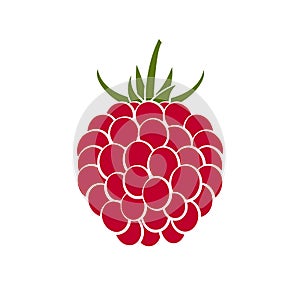 Raspberry icon on white background